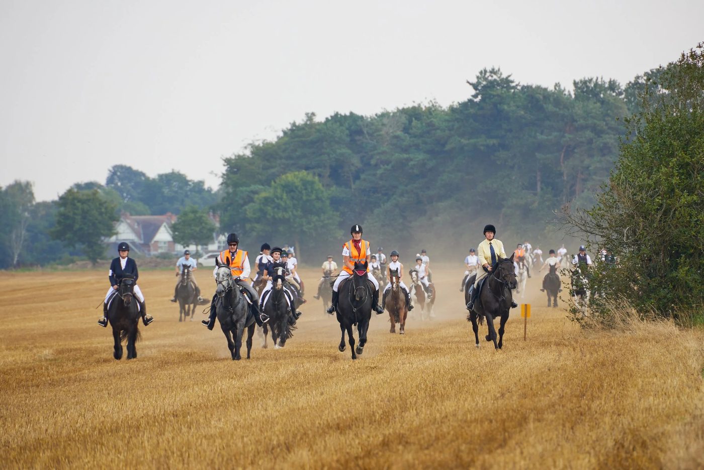 The Sheriff's Ride, 2023, photo 9