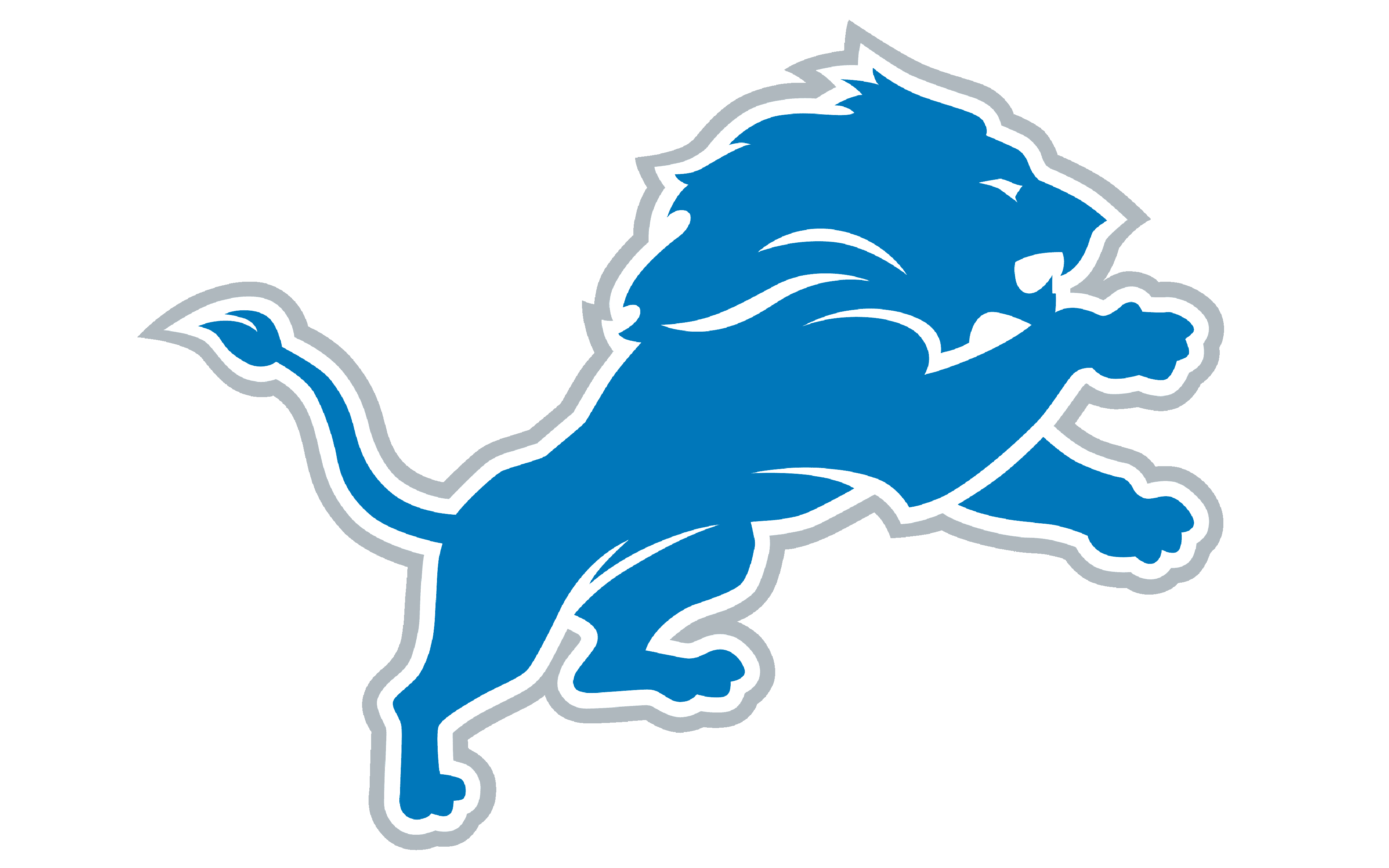 DET helmet