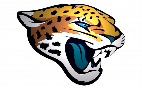 JAC helmet