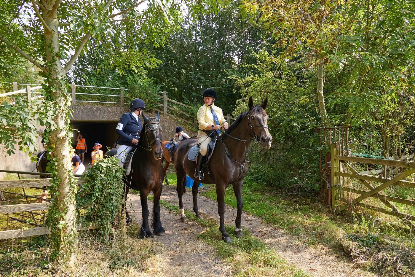 The Sheriff's Ride, 2023, photo 10