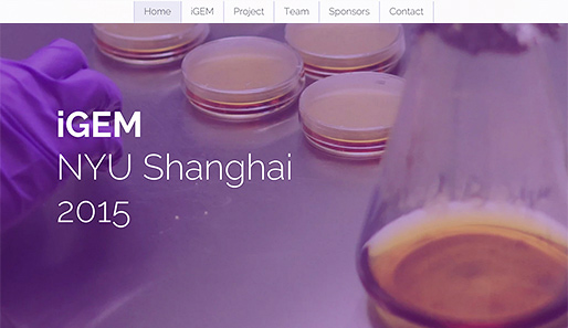 iGEM NYU Shanghai